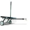Agri-Fab 45-0295 48-Inch Tine Tow Dethatcher,Black,Medium