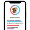 Embark Dog DNA Test, Breed Identification Kit