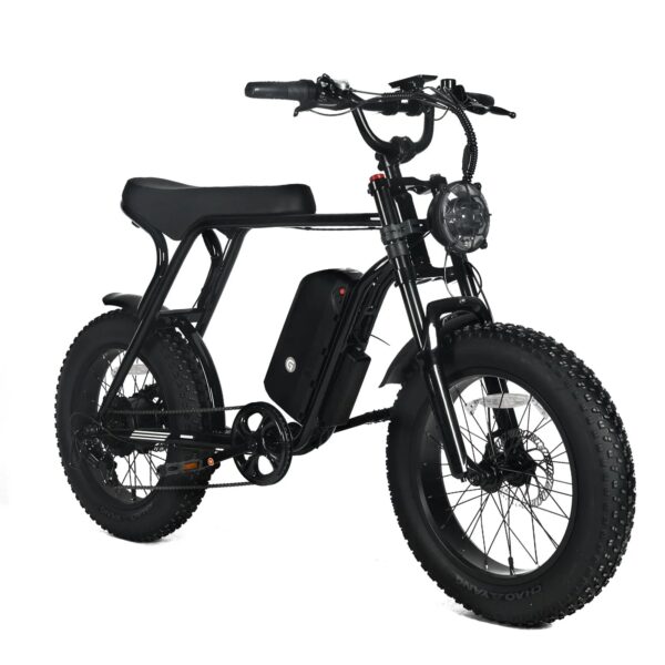 Electric Mountain Bike for Adults | 20 x 4.0 Fat Tires, 1000W Motor, 48V 20Ah Removable Battery, Max Speed 45MPH, Shi Mano 7-Speed for Off-Road...