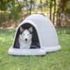 Petmate Indigo Dog House (Igloo Dog House, Made in USA with 90% Recycled Materials, All-Weather Protection Pet Shelter) for XL Dogs -90 to 125...