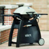 Weber Q 3200 Propane Gas Grill - Titanium - 57060001