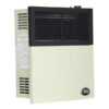 11,000 BTU Direct Vent Liquid Propane Wall Mount Heater