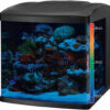 LED Tanks and Combo Kits (32 Gallon Tank/Stand Kit)