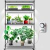Barrina Mini Greenhouse with LED Grow Light for Indoor Plant, 4-Tier Portable Metal Plant Stand with Wheels, Plant Shelf with Tent, 6Pcs Plant...