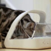 Pet Feeder Connection System - Selective Pet Feeder - Suitable for pets on prescription diets or weight management diets - Integrated Scale - Data...