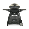 WEBER Q 3200 GAS GRILL