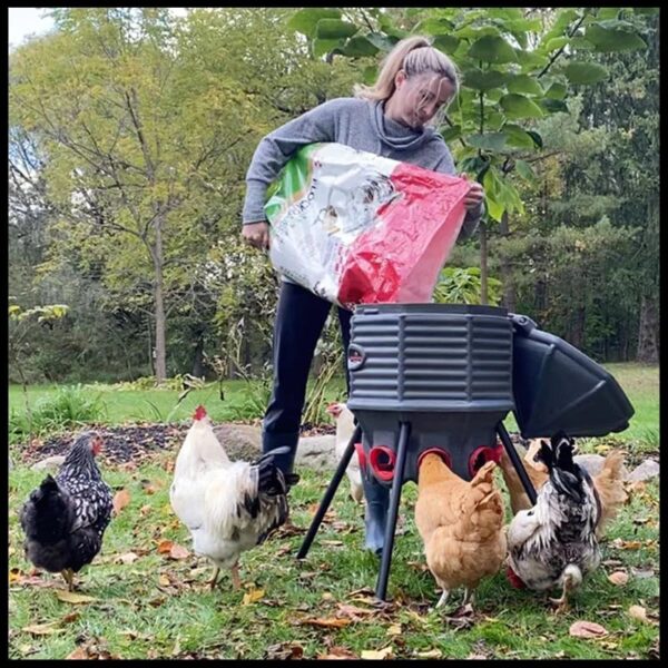 80lb Poultry Feeder, Adjustable Height, UV Stable, Weather Resistant, 8 Ports, Made in USA