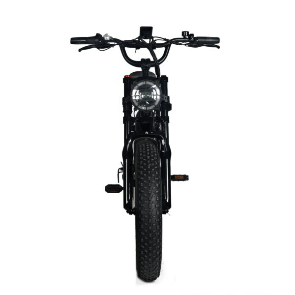 Electric Mountain Bike for Adults | 20 x 4.0 Fat Tires, 1000W Motor, 48V 20Ah Removable Battery, Max Speed 45MPH, Shi Mano 7-Speed for Off-Road...