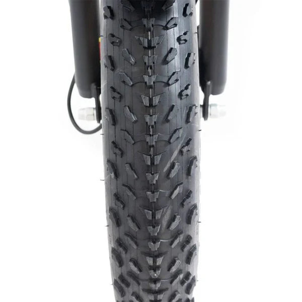 20 48V/14AH 750W Foldable Fat Tire Electric Trike, 330LBS