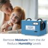ALORAIR Commercial Dehumidifier 113 Pint, with Drain Hose for Crawl Spaces, Basements