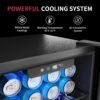 Beverage Refrigerator Cooler - 126 Can Mini Fridge with Glass Door for Soda Beer or Wine, Beverage Cooler for Home, Office, Bar with Adjustable...