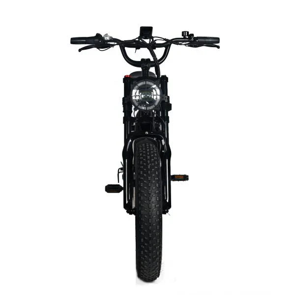 Electric Mountain Bike for Adults | 20 x 4.0 Fat Tires, 1000W Motor, 48V 20Ah Removable Battery, Max Speed 45MPH, Shi Mano 7-Speed for Off-Road...