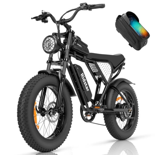 Electric Bike for Adults Ridstar, 1200W 30mph Moutain Bike,48V 15.6AH Battery E-Bike,20" Fat Tire Electric Motorcycle,Electric Bicycle 7 Speed...