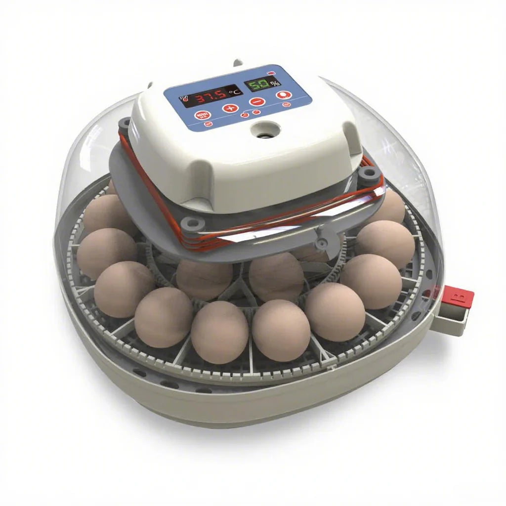 bcb65e282e59252f421dd15b7126cfc77e4b38d120957ec1472af233be4ab007 Farms Nurture Right Egg Incubator for Hatching Chicks - Holds 22 Eggs