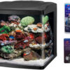 LED Tanks and Combo Kits (32 Gallon Tank/Stand Kit)