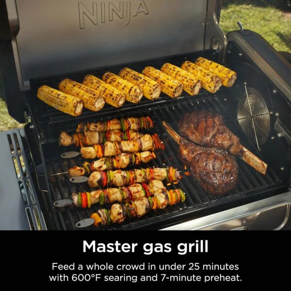 Ninja FlexFlame, Grill and Smoker, Electric and Propane Grill, Roaster, BBQ Grill, 5-in-1 Cooking System, 3 Burner, Digital Control, Outdoor...