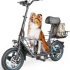 Electric Scooter with Large Basket, 550W Motor