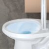 21Toilet, Elongated Toilets for Bathrooms, Two-Piece Toilet with Soft Close Seat, 1.28 Siphonic Flush Toilet with Universal Height ADA Cotton White