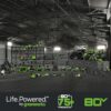 Greenworks 80V 21" Brushless Cordless Lawn Mower