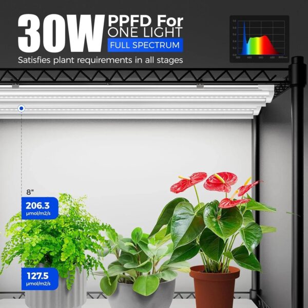 Barrina Mini Greenhouse with LED Grow Light for Indoor Plant, 4-Tier Portable Metal Plant Stand with Wheels, Plant Shelf with Tent, 6Pcs Plant...