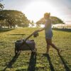 Expedition Stroller Marine