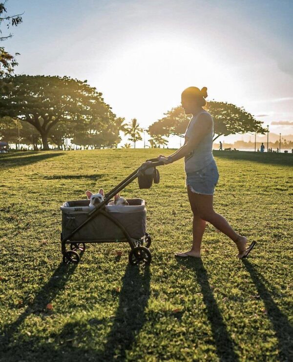Expedition Stroller Marine