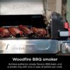 Ninja FlexFlame, Grill and Smoker, Electric and Propane Grill, Roaster, BBQ Grill, 5-in-1 Cooking System, 3 Burner, Digital Control, Outdoor...