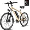 Eb5 Electric Bike 500W Motor 40Miles 20Mph